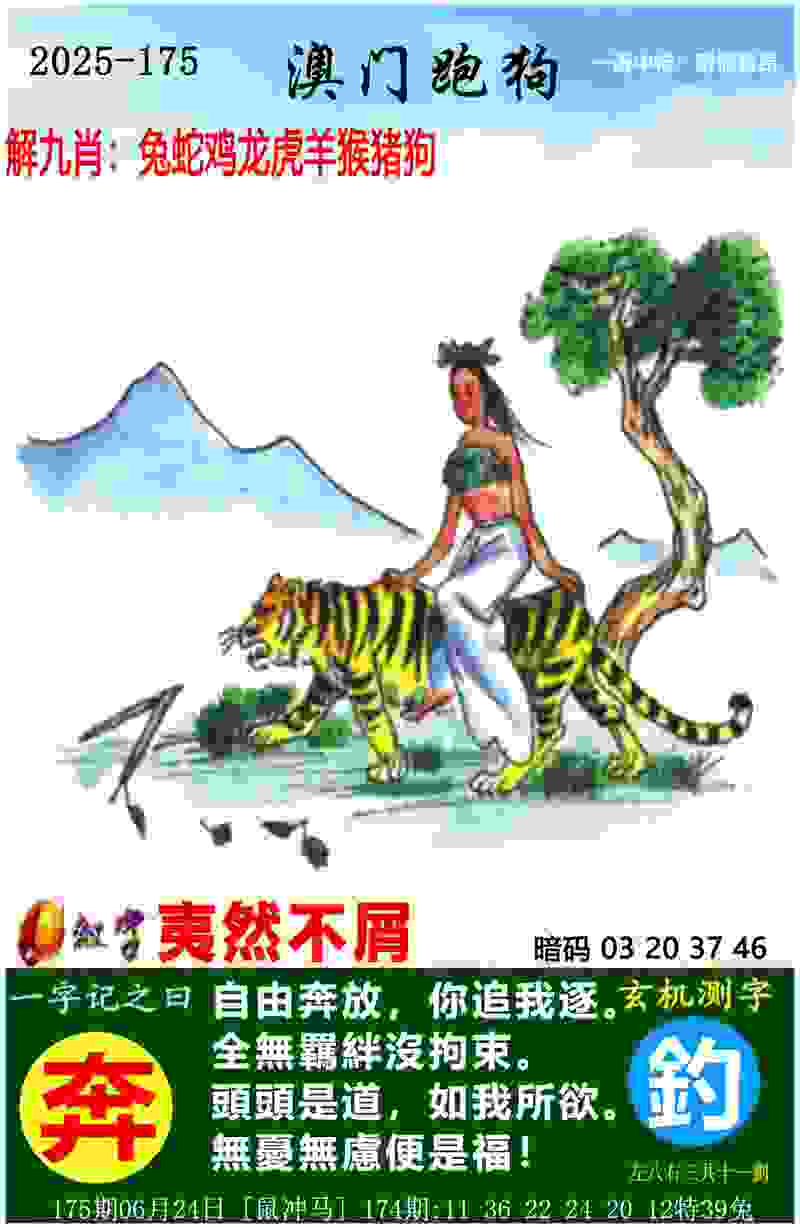 合肥今年再推一批业余联赛 高水平赛事仍不断